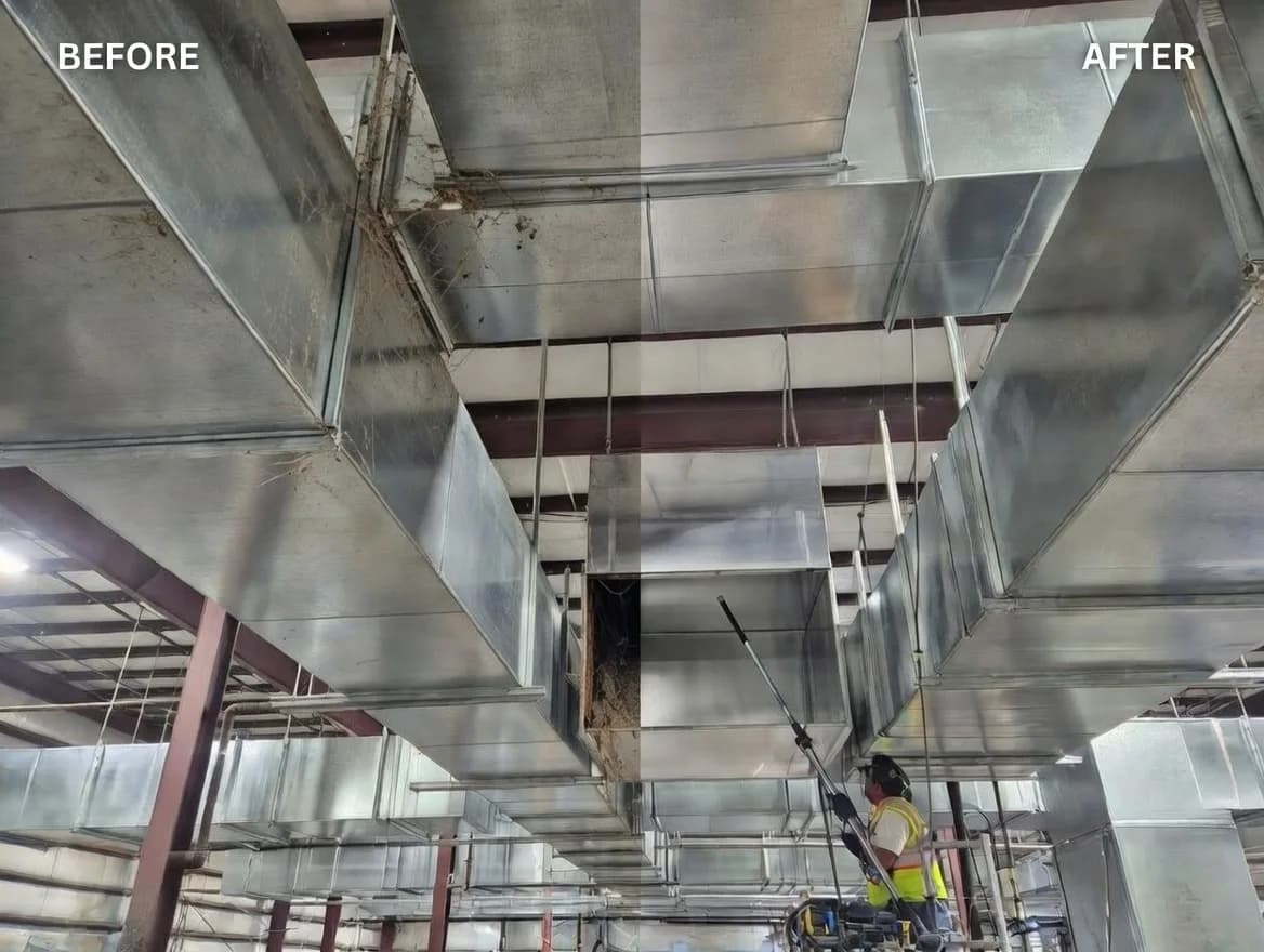 Før og efter professionel rensning